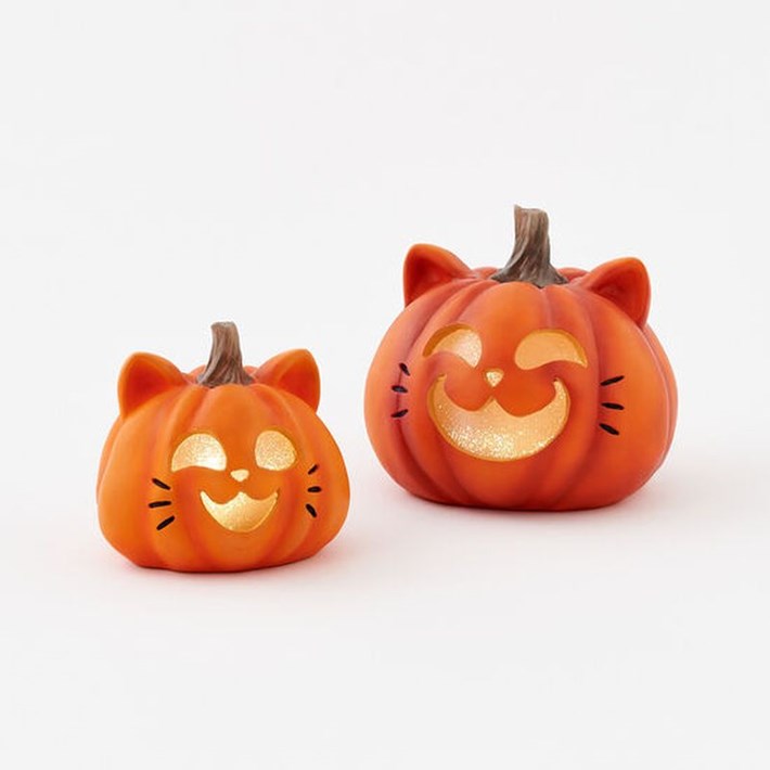 Lighted Cat Pumpkin, 2 Asst, Resin, 6.5