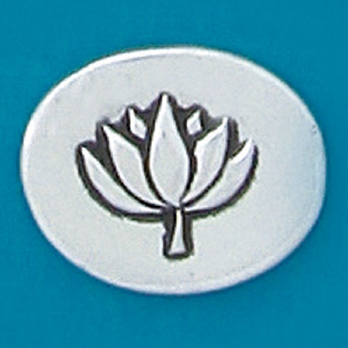 BASPIRITCN-57.jpg