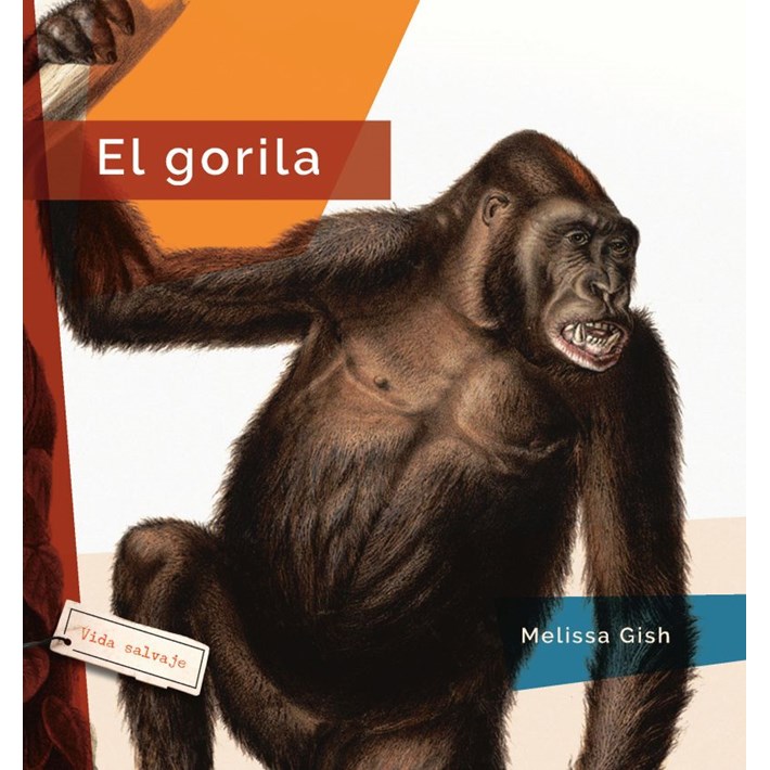 CHRNBK9781682773017.jpg